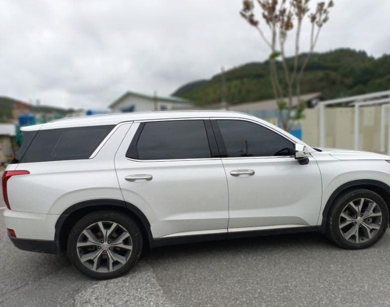 Hyundai Palisade - 1