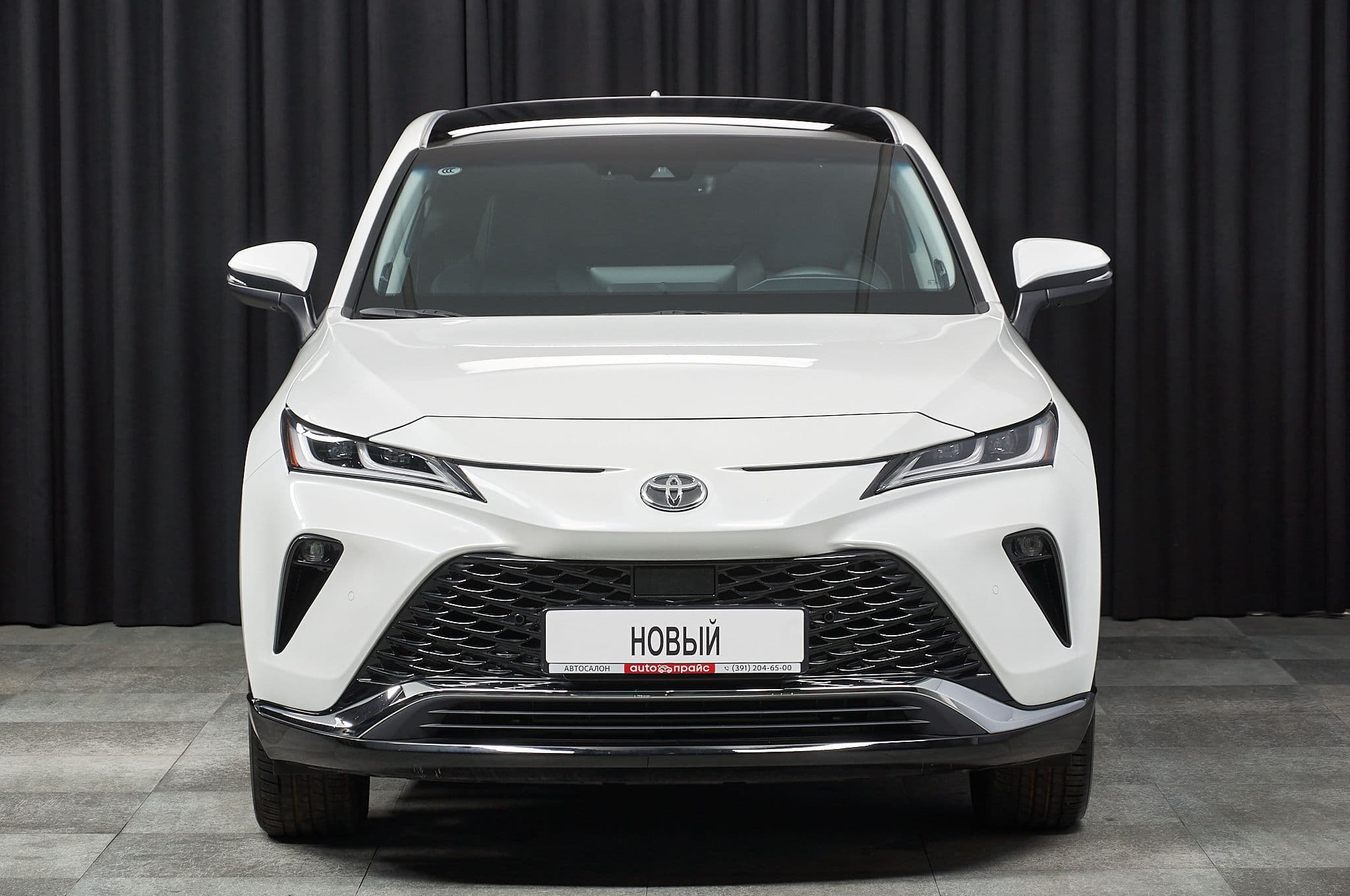 Toyota Venza - 1