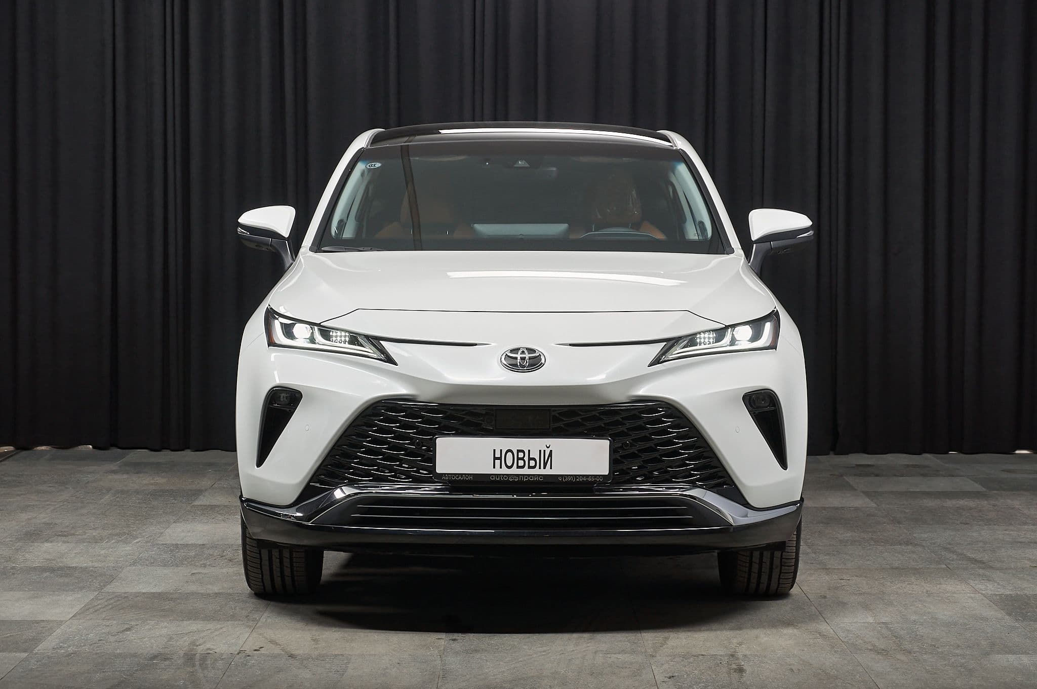 Toyota Venza - 1