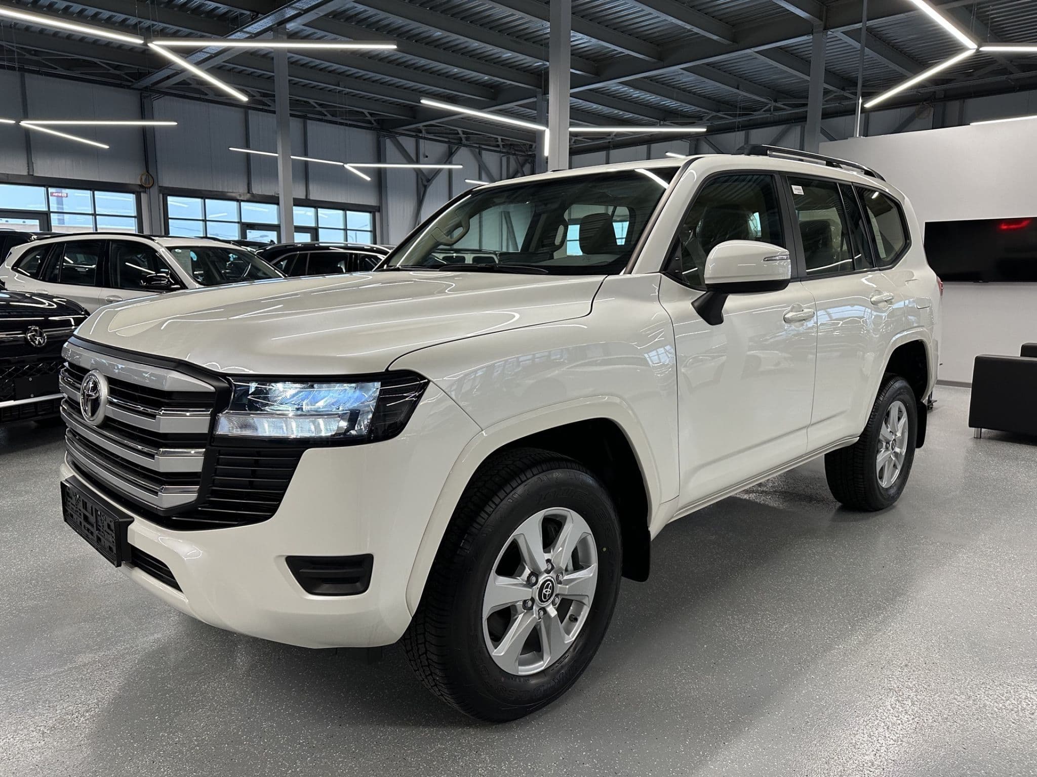 Toyota Land Cruiser - 1