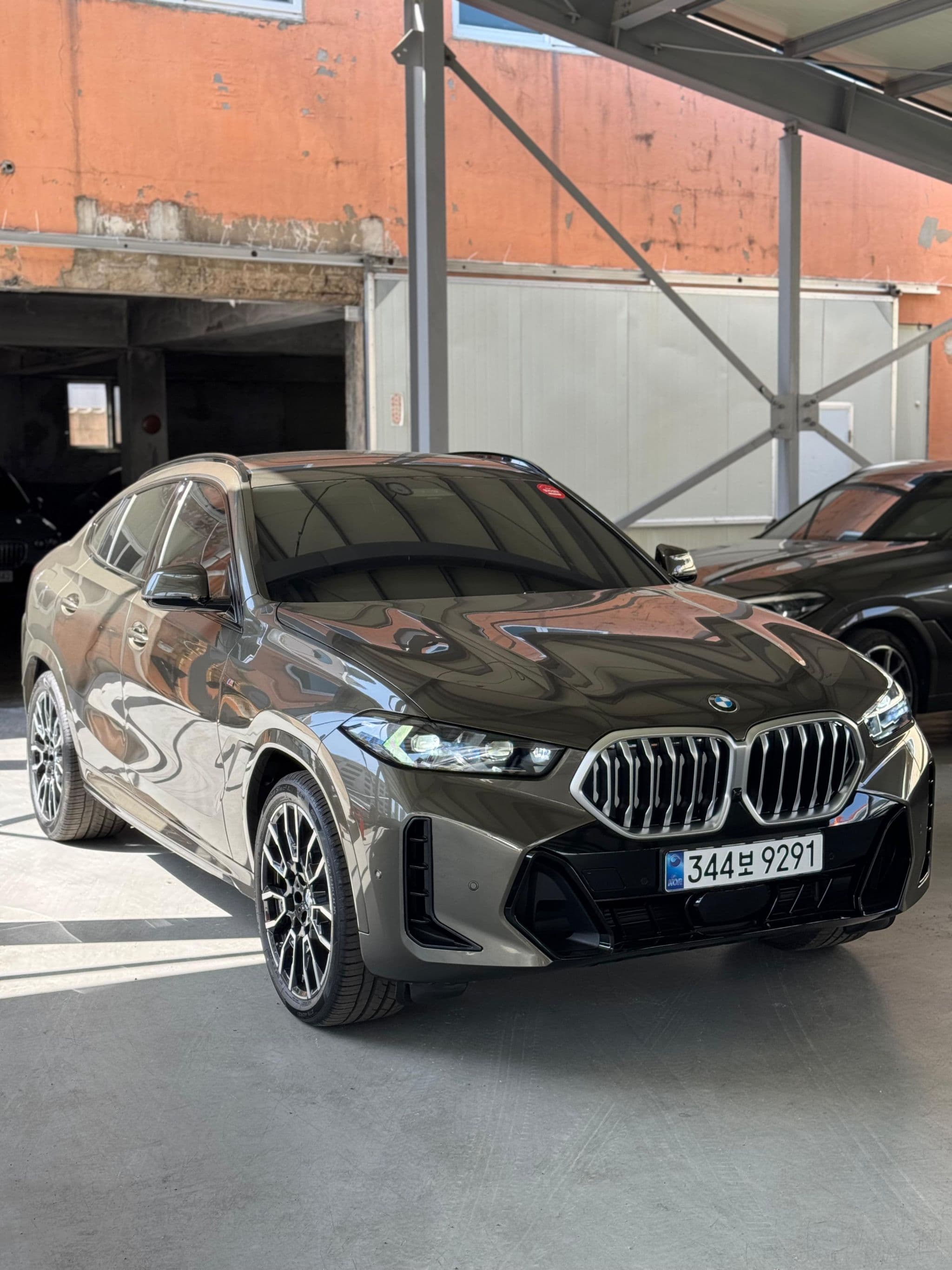 BMW X6 - 1
