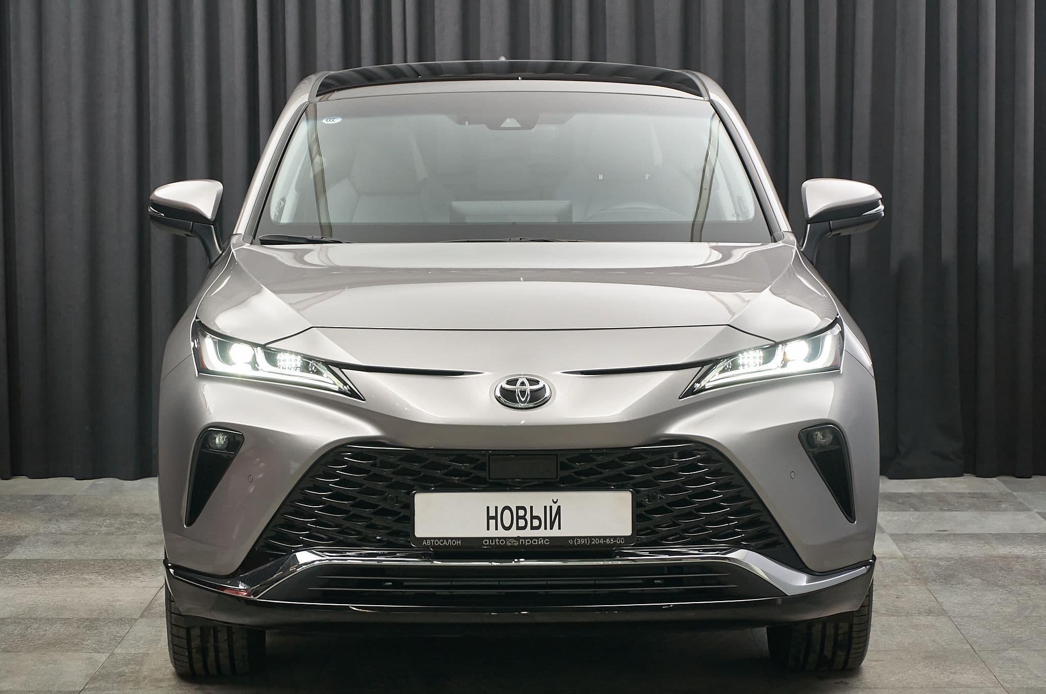 Toyota Venza - 1
