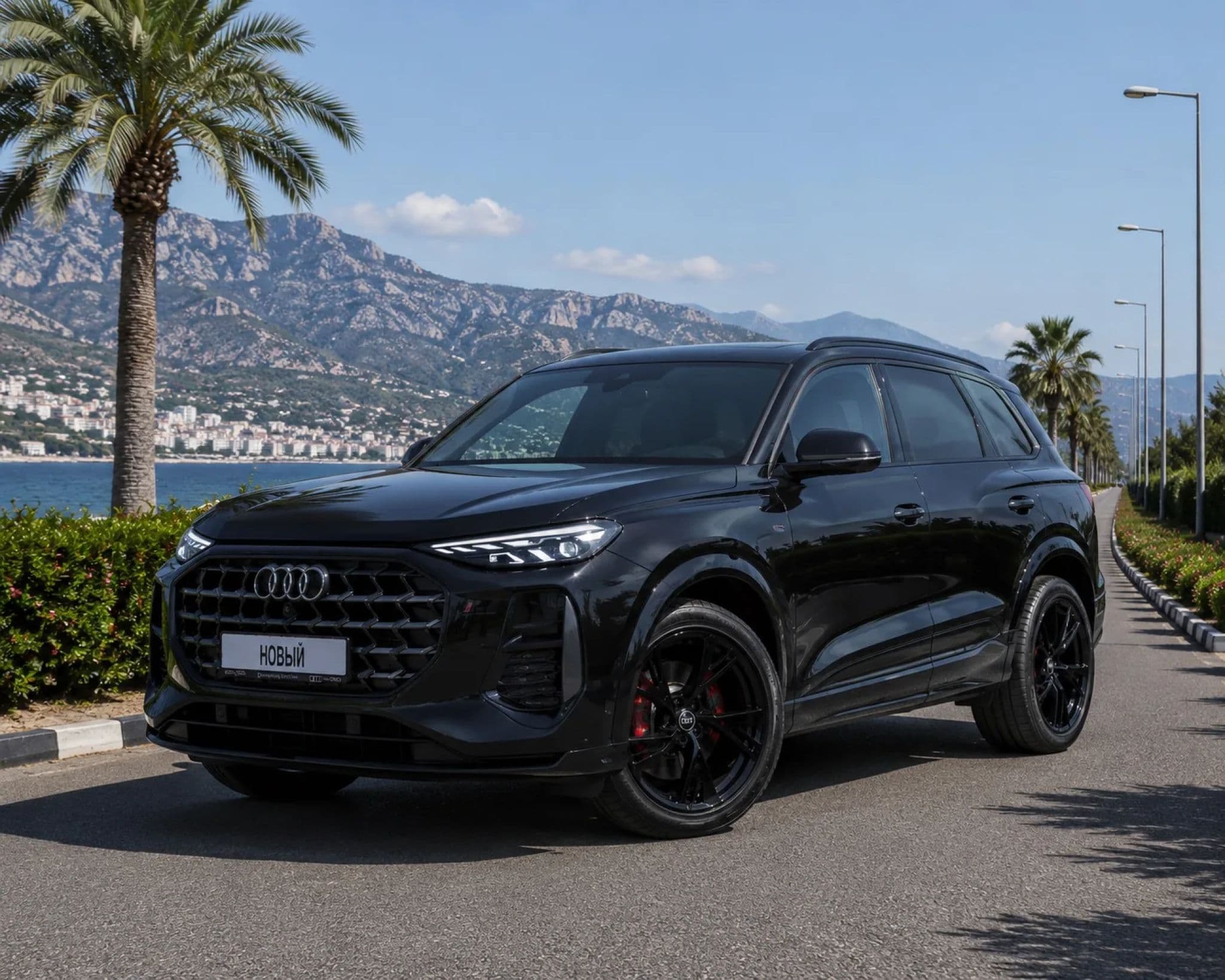 Audi Q6 - 1